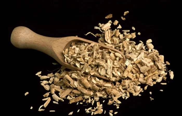 Gerahmter Druck : Getrocknete Diptamwurzel, in früheren Zeiten. Gerahmter Druck : Getrocknete Diptamwurzel, in früheren Zeiten.