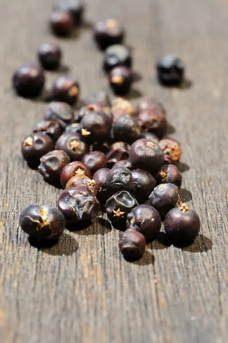 Gerahmter Druck : Getrocknete Wacholderbeeren. Gerahmter Druck : Getrocknete Wacholderbeeren.