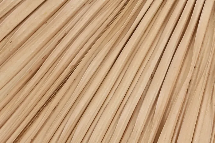 Gerahmter Druck : Detail eines getrockneten natürlichen Palmenblatts. Gerahmter Druck : Detail eines getrockneten natürlichen Palmenblatts.