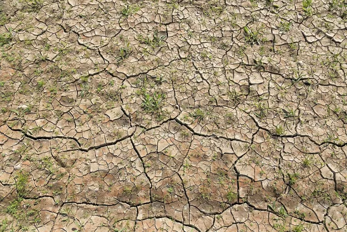 Gerahmter Druck : Getrocknete Böden, Hintergrundbild, Deutschland. Gerahmter Druck : Getrocknete Böden, Hintergrundbild, Deutschland.