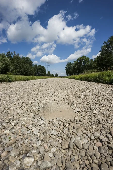Gerahmter Druck : Trockener Fluss, Klimawandel Gerahmter Druck : Trockener Fluss, Klimawandel