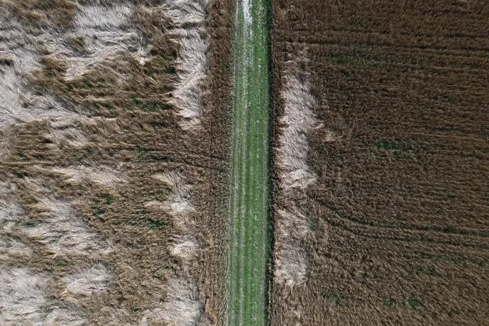 Gerahmter Druck : Windbruchpfade zwischen Getreidefeldern, Innviertel, Oberösterreich Gerahmter Druck : Windbruchpfade zwischen Getreidefeldern, Innviertel, Oberösterreich