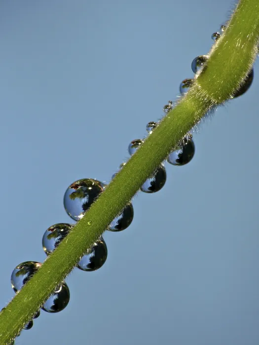 Gerahmter Druck : Drop Gerahmter Druck : Drop