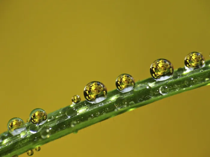 Gerahmter Druck : Drop Gerahmter Druck : Drop