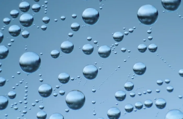 Gerahmter Druck : Tropfen Wasser in Spinne-Netz. Gerahmter Druck : Tropfen Wasser in Spinne-Netz.