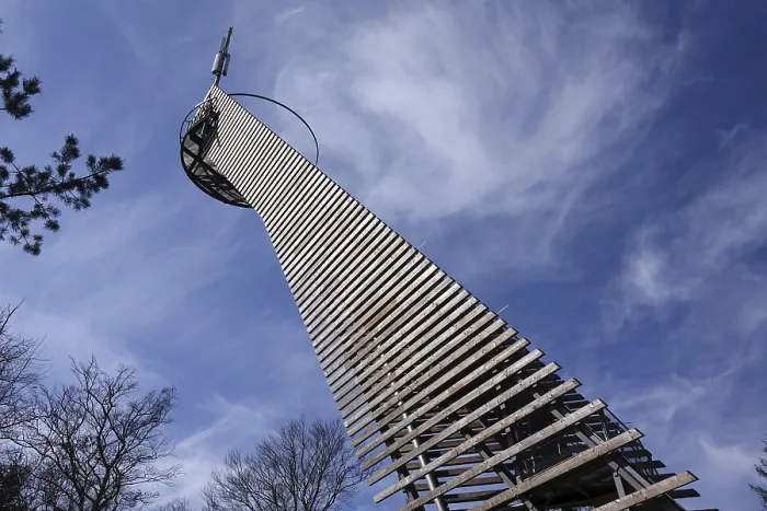 Gerahmter Druck : Turm in Odenwald Gerahmter Druck : Turm in Odenwald