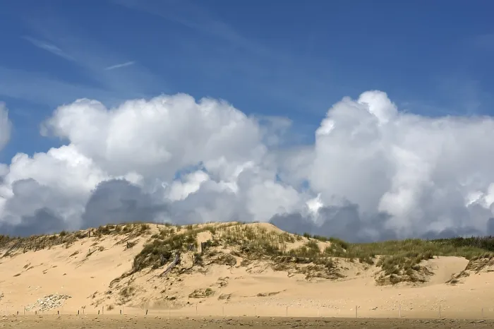 Gerahmter Druck : Düne mit Cumuluswolken (Cumulus). Gerahmter Druck : Düne mit Cumuluswolken (Cumulus).