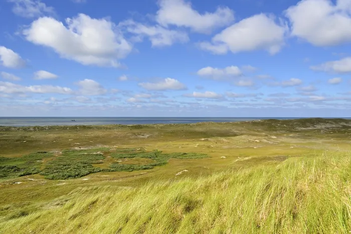 Gerahmter Druck : Dünenlandschaft mit blauen Wolken.
