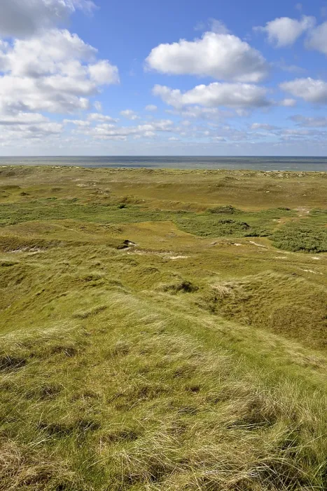 Gerahmter Druck : Dünenlandschaft mit blauen Wolken. Gerahmter Druck : Dünenlandschaft mit blauen Wolken.