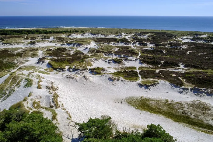 Gerahmter Druck : Dünenlandschaft von Dueodde Strand Gerahmter Druck : Dünenlandschaft von Dueodde Strand