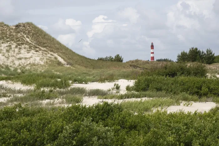Gerahmter Druck : Dünenlandschaft mit Leuchtturm. Gerahmter Druck : Dünenlandschaft mit Leuchtturm.