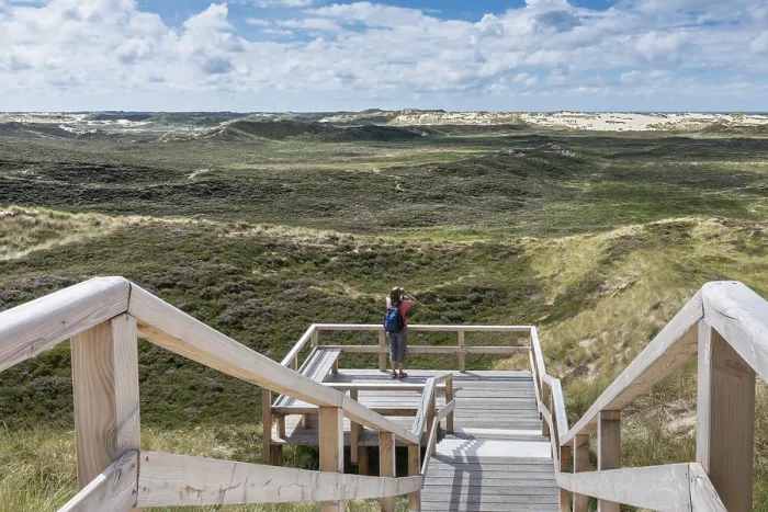 Gerahmter Druck : Dünenlandschaft mit Aussichtspunkt Gerahmter Druck : Dünenlandschaft mit Aussichtspunkt