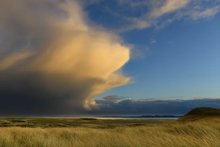 Gerahmter Druck : Dünenlandschaft mit Donnerwolke. Gerahmter Druck : Dünenlandschaft mit Donnerwolke.