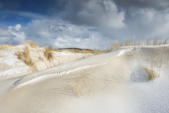 Gerahmter Druck : Dünen mit Strandgras und Schnee. Gerahmter Druck : Dünen mit Strandgras und Schnee.