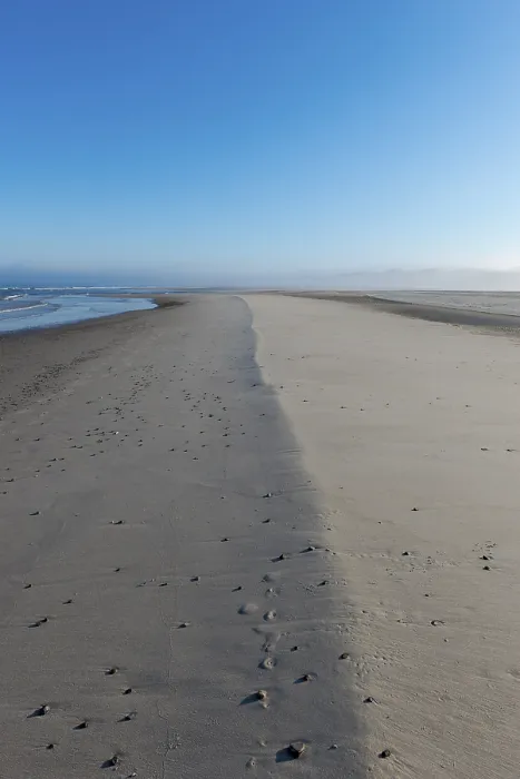 Gerahmter Druck : Früherer Nebel über der leeren Strand. Gerahmter Druck : Früherer Nebel über der leeren Strand.
