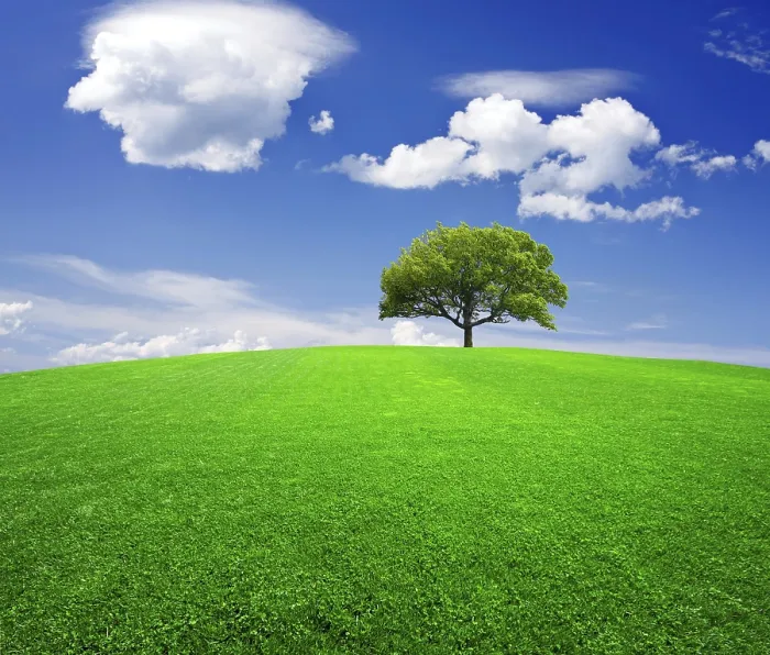 Gerahmter Druck : Earth Gerahmter Druck : Earth
