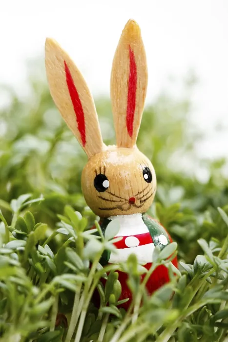 Gerahmter Druck : Osterhase Gerahmter Druck : Osterhase