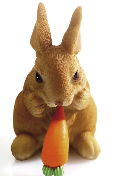 Gerahmter Druck : Osterhase mit Karotte Gerahmter Druck : Osterhase mit Karotte