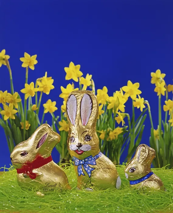 Gerahmter Druck : Osterhase aus Schokolade Gerahmter Druck : Osterhase aus Schokolade