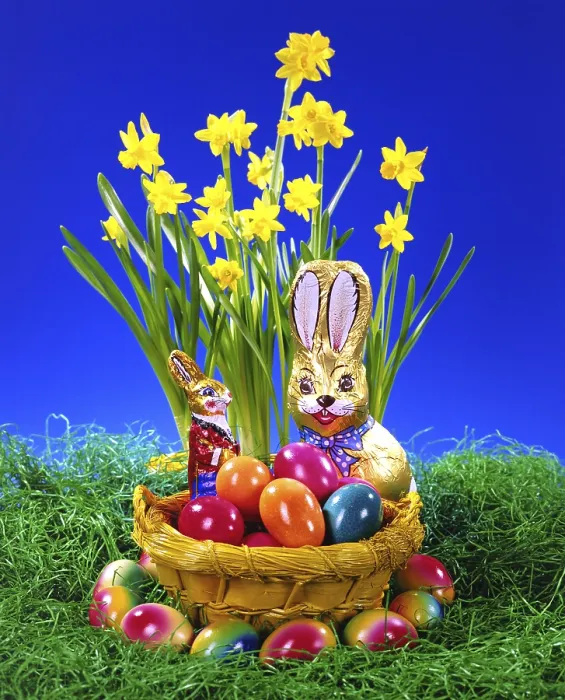 Gerahmter Druck : Osterhase aus Schokolade Gerahmter Druck : Osterhase aus Schokolade