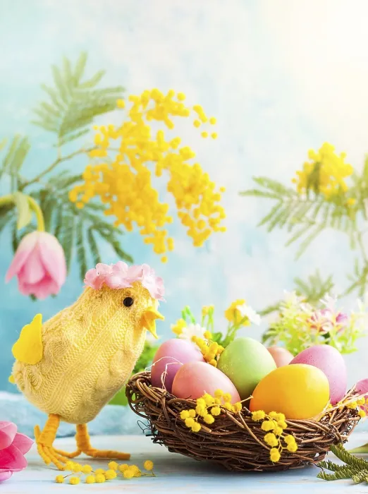 Gerahmter Druck : Ostdekoration mit lustigem Hühnchen, Frühlingsblumen und farbigen Ostereiern in einem Nest Gerahmter Druck : Ostdekoration mit lustigem Hühnchen, Frühlingsblumen und farbigen Ostereiern in einem Nest