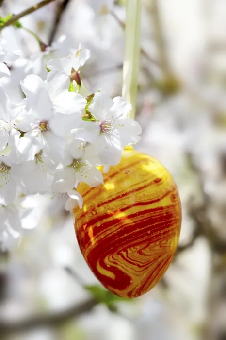 Gerahmter Druck : Osterei und Kirschblüten. Gerahmter Druck : Osterei und Kirschblüten.