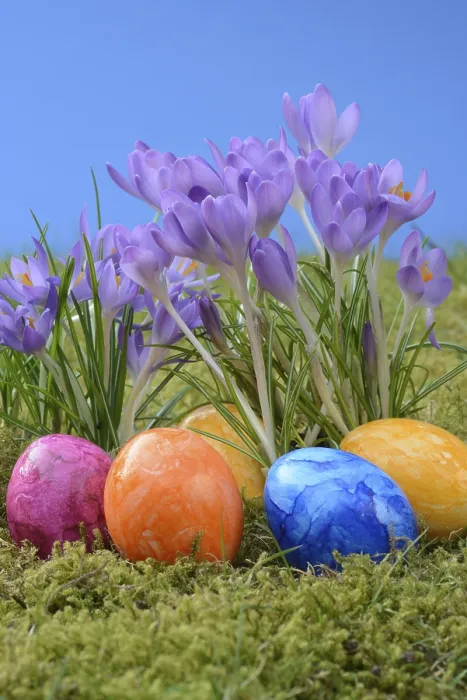 Gerahmter Druck : Oster-Eier und Krokus. Gerahmter Druck : Oster-Eier und Krokus.
