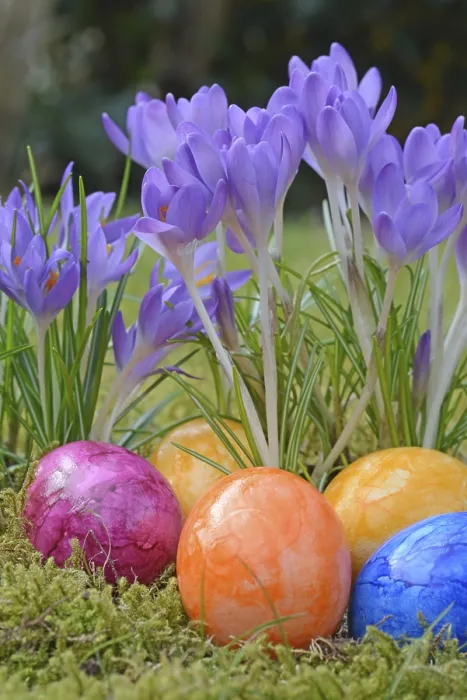 Gerahmter Druck : Oster-Eier und Krähenbeeren Gerahmter Druck : Oster-Eier und Krähenbeeren