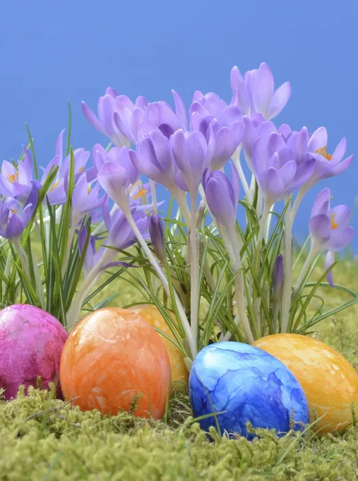 Gerahmter Druck : Oster-Eier, Osterei, Eier, Ostern Gerahmter Druck : Oster-Eier, Osterei, Eier, Ostern