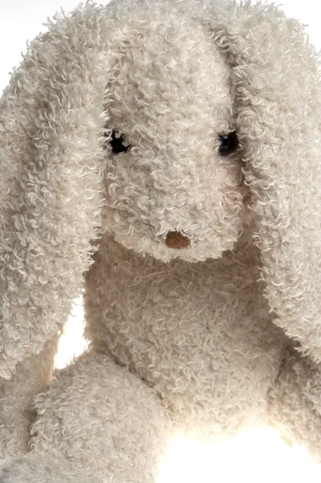 Gerahmter Druck : Osterhase