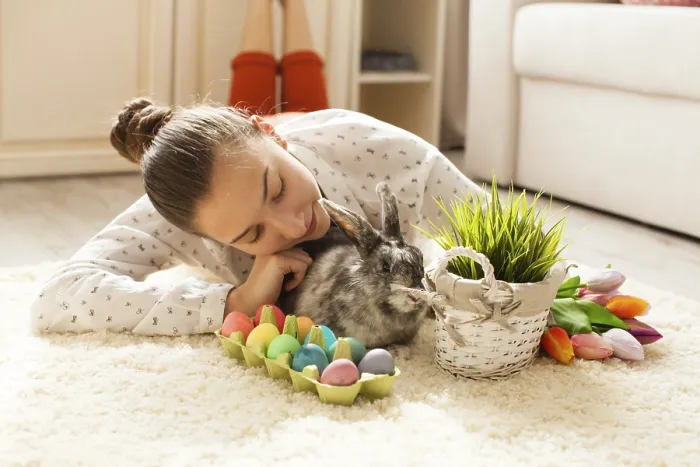 Gerahmter Druck : Osterhase im Haus mit Eiern und grünem Gras. Gerahmter Druck : Osterhase im Haus mit Eiern und grünem Gras.