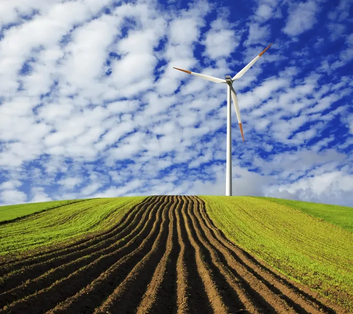 Gerahmter Druck : Eco Wind Gerahmter Druck : Eco Wind