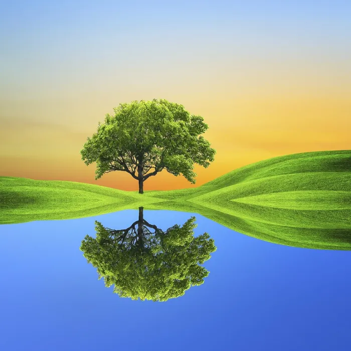 Gerahmter Druck : Ecology