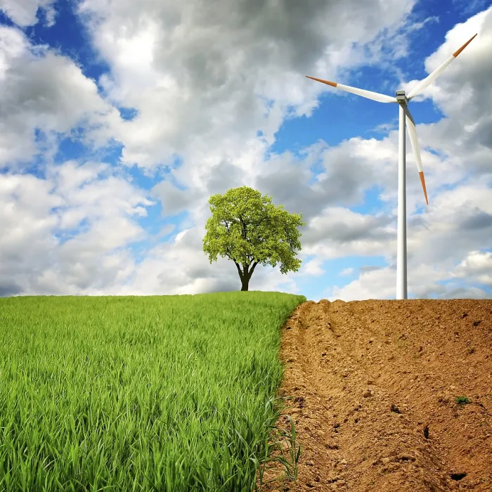 Gerahmter Druck : Ecology Gerahmter Druck : Ecology