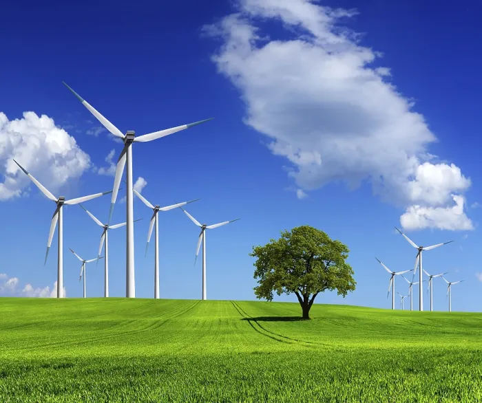 Gerahmter Druck : Ökologie - Wind der Veränderung Gerahmter Druck : Ökologie - Wind der Veränderung