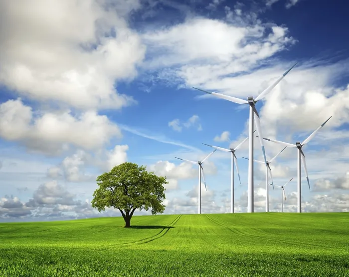 Gerahmter Druck : Ökologie - Wind der Veränderung Gerahmter Druck : Ökologie - Wind der Veränderung