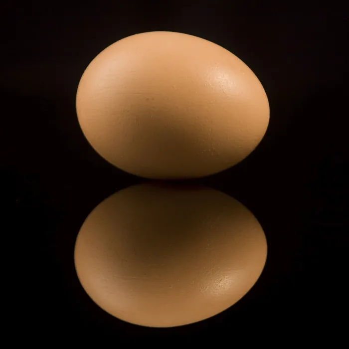 Gerahmter Druck : Egg Gerahmter Druck : Egg