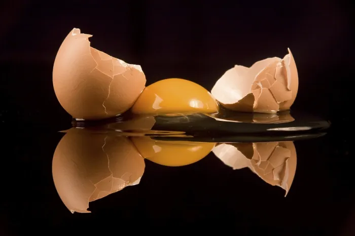 Gerahmter Druck : Egg Gerahmter Druck : Egg