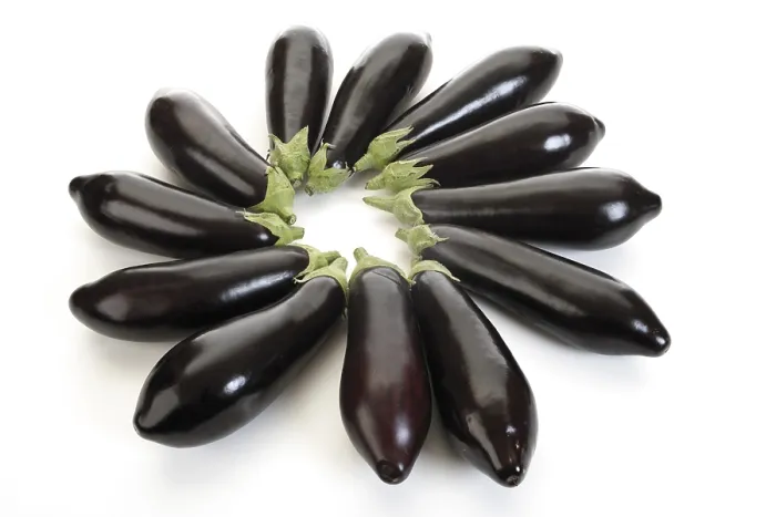 Gerahmter Druck : Eggplants Gerahmter Druck : Eggplants
