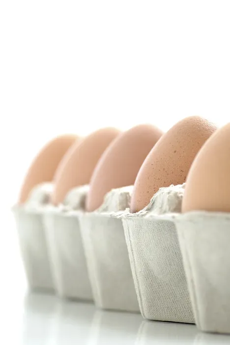 Gerahmter Druck : Eier in einer Karton. Gerahmter Druck : Eier in einer Karton.