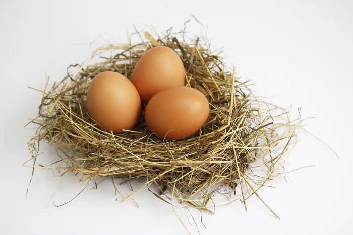 Gerahmter Druck : Drei Eier in einem Nest: Ostern Gerahmter Druck : Drei Eier in einem Nest: Ostern