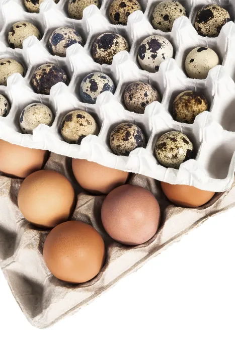 Gerahmter Druck : Eier im Paket auf weißem Hintergrund. Gerahmter Druck : Eier im Paket auf weißem Hintergrund.