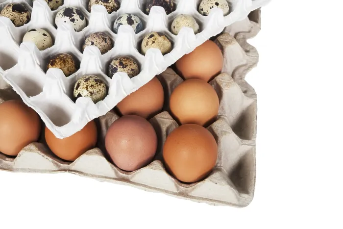 Gerahmter Druck : Eier im Paket auf weißem Hintergrund.