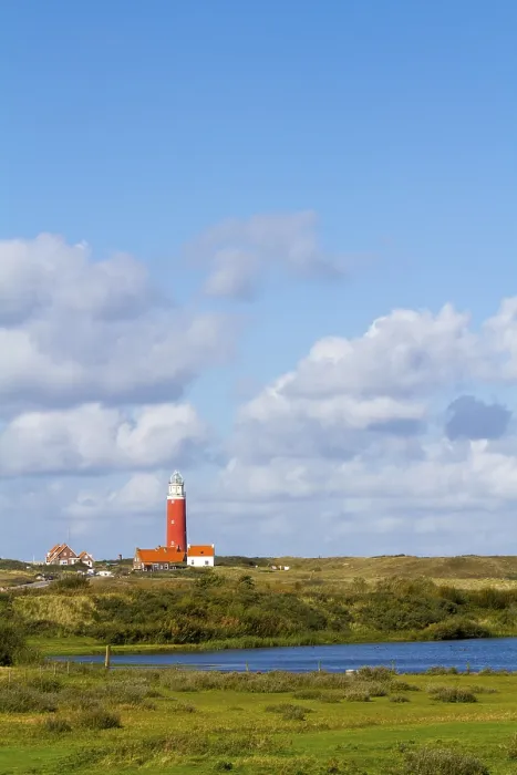Gerahmter Druck : Leuchtturm Eierland mit Dünen Gerahmter Druck : Leuchtturm Eierland mit Dünen