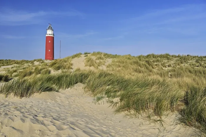 Gerahmter Druck : Leuchtturm Eierland mit Dünen Gerahmter Druck : Leuchtturm Eierland mit Dünen