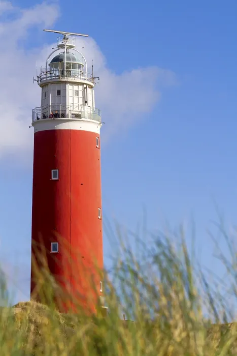 Gerahmter Druck : Leuchtturm Eierland mit Dünen Gerahmter Druck : Leuchtturm Eierland mit Dünen