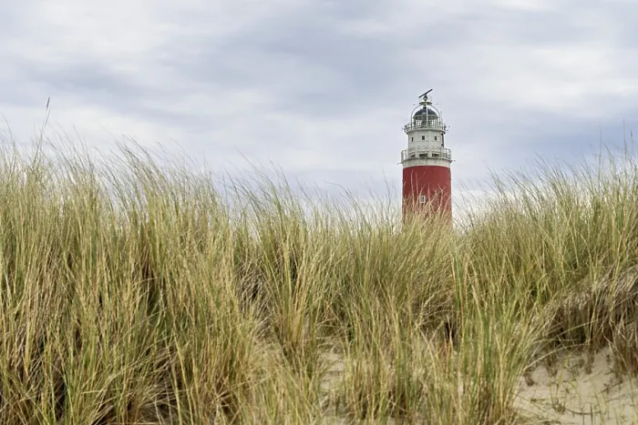 Gerahmter Druck : Leuchtturm Eierland mit Dünen Gerahmter Druck : Leuchtturm Eierland mit Dünen