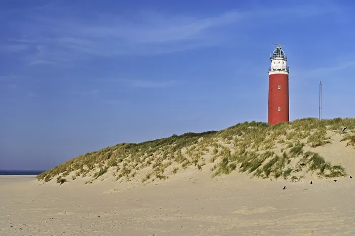 Gerahmter Druck : Leuchtturm Eierland mit Dünen Gerahmter Druck : Leuchtturm Eierland mit Dünen