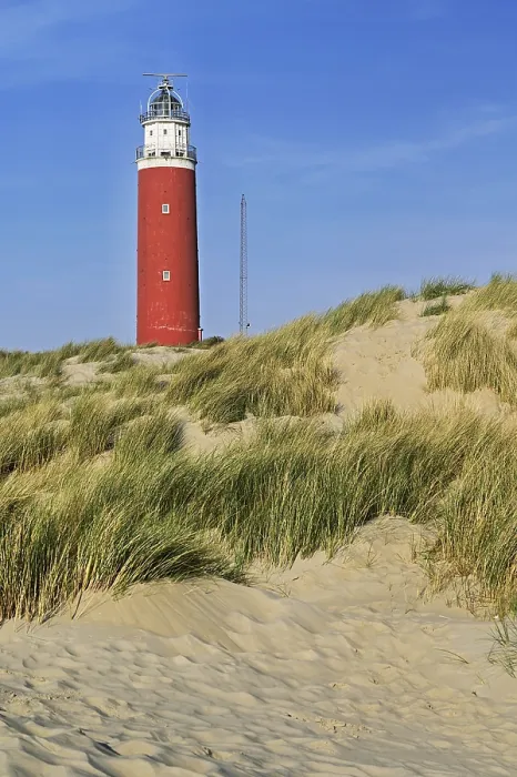 Gerahmter Druck : Leuchtturm Eierland mit Dünen Gerahmter Druck : Leuchtturm Eierland mit Dünen