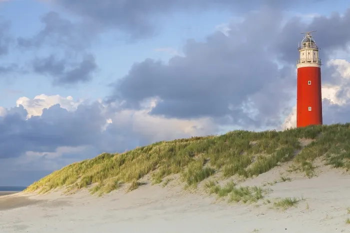 Gerahmter Druck : Leuchtturm Eierland, mit Grasdünen. Gerahmter Druck : Leuchtturm Eierland, mit Grasdünen.